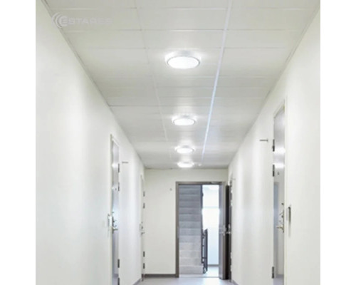 Cветодиодный накладной светильник DLR 12W R-150-CW-WHITE/WHITE-220-IP44